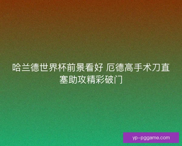 哈兰德世界杯前景看好 厄德高手术刀直塞助攻精彩破门