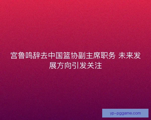宫鲁鸣辞去中国篮协副主席职务 未来发展方向引发关注